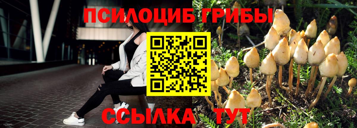 Корсаков  Псилоцибиновые грибы ЛСД  Вход с VPN 